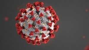 coronavirus precautions